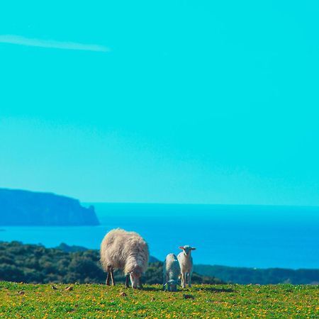 Agriturismo Il Ginepro Флуминимаджоре Экстерьер фото