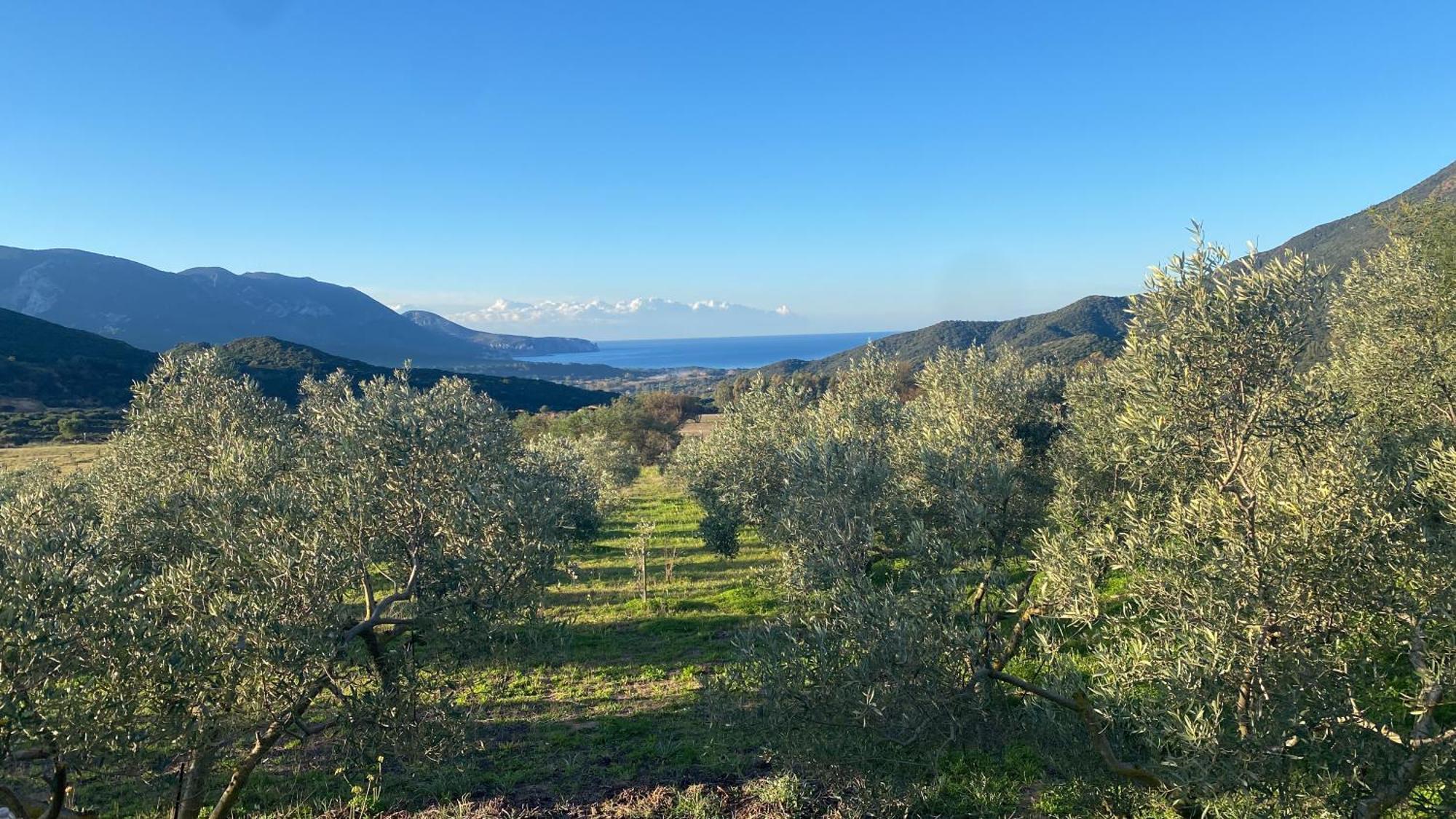 Agriturismo Il Ginepro Флуминимаджоре Экстерьер фото