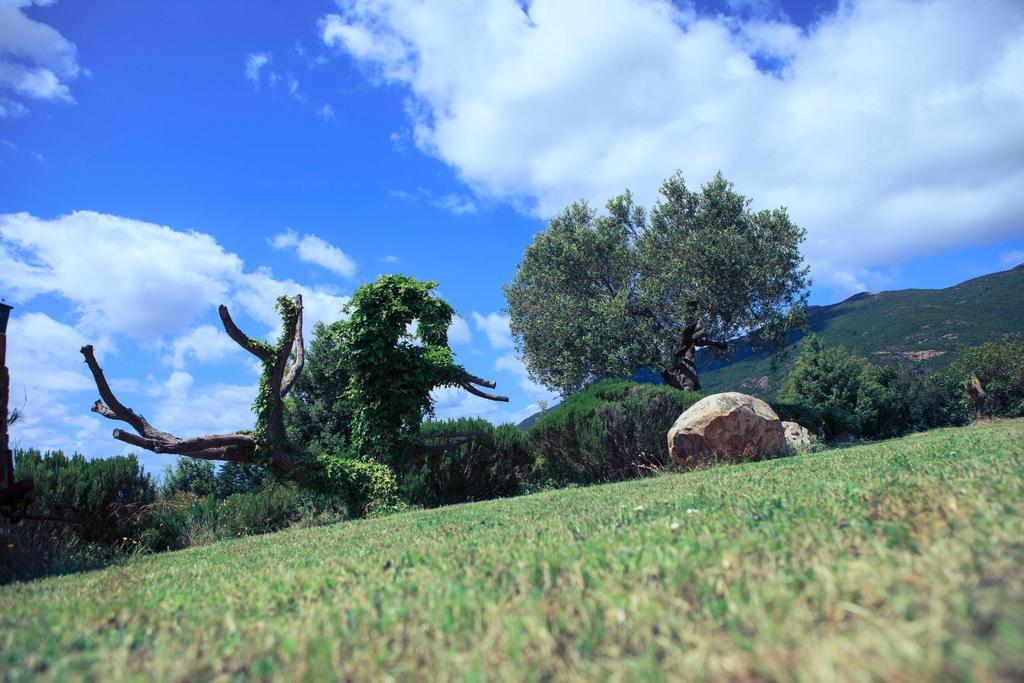 Agriturismo Il Ginepro Флуминимаджоре Экстерьер фото