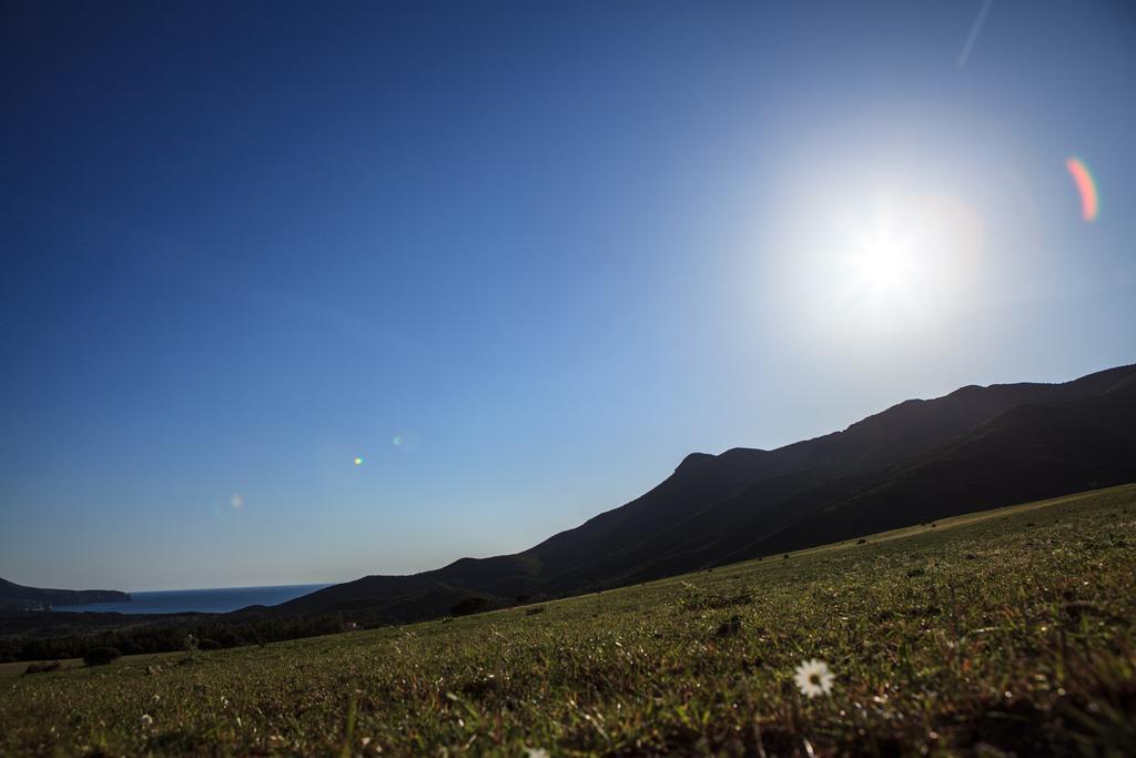 Agriturismo Il Ginepro Флуминимаджоре Экстерьер фото